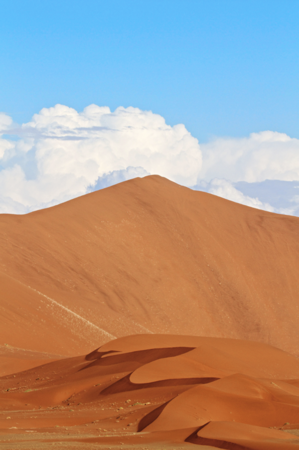 luxury safari in namibia
